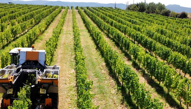Alistrati Cave, Lazaridi Winery and City of Drama – Full-Day Private Tour - Photo 2