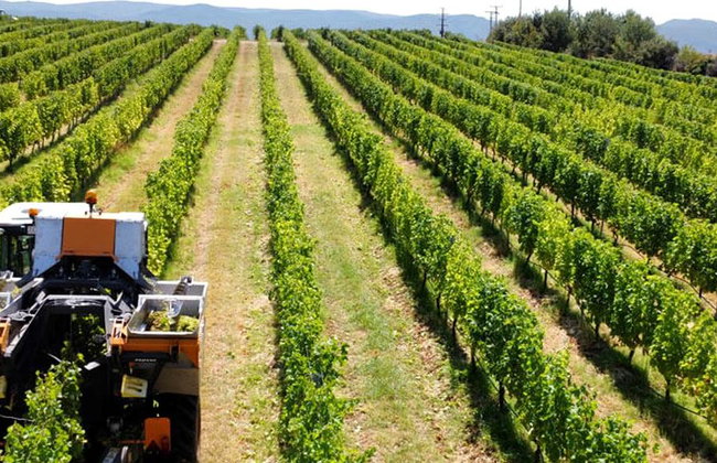 Alistrati Cave, Lazaridi Winery and City of Drama – Full-Day Private Tour - Photo 2