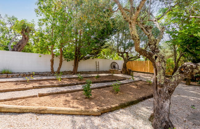 Quintal das Oliveiras - Foto 30