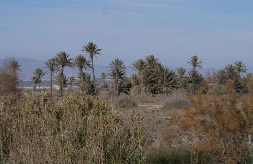Precioso apartamento en Cabo de Gata - Foto 45