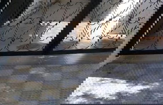 The Place Apartments - Foto 61