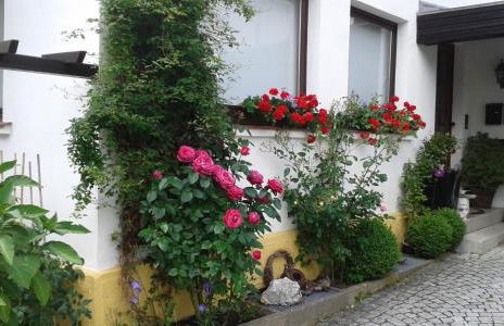 Ferienwohnung "Am Eisenbühl" - Foto 4