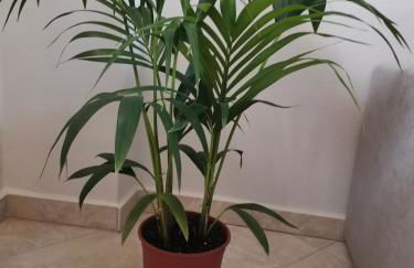 Stella Luxury Apartment Kalathos - Foto 37