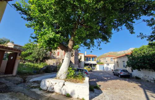 Afroditi's 1 - Photo 67