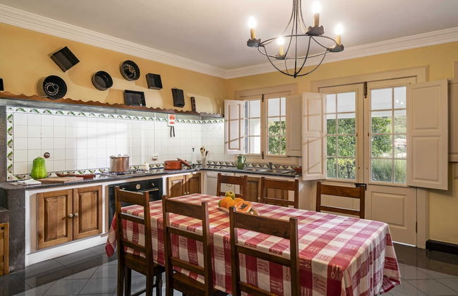 In Laurissilva Forest, Casa do Lanço -carvalho - Foto 22