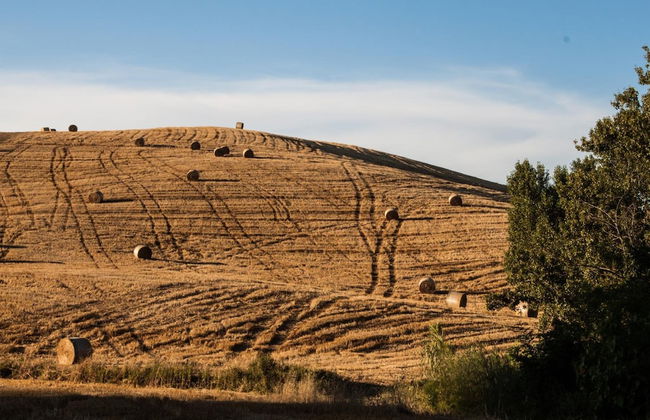 Mulino Della Rivolta - Foto 51