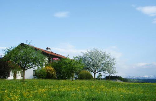 Pichler Roswitha - Foto 9