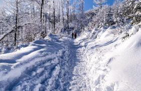 Apartament Telkom 1 - Foto 22