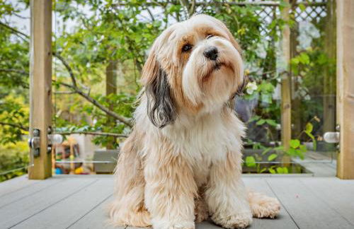 2 Bed in Bishops Tawton 94038 - Foto 11