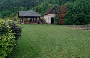 Agroturystyka Leśna Ostoja Borek - Foto 5