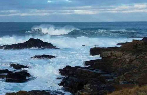 Rymmon Retreat - Photo 30