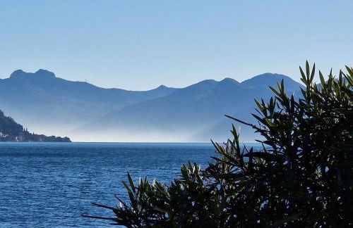 Vichi's nest - Foto 34