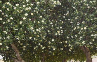 La Dimora di Ulisse - Foto 39