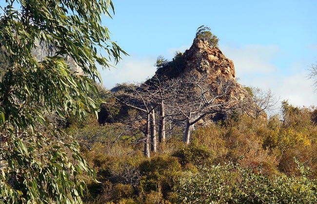 Tour por la ciudad de Antsiranana - Foto 1