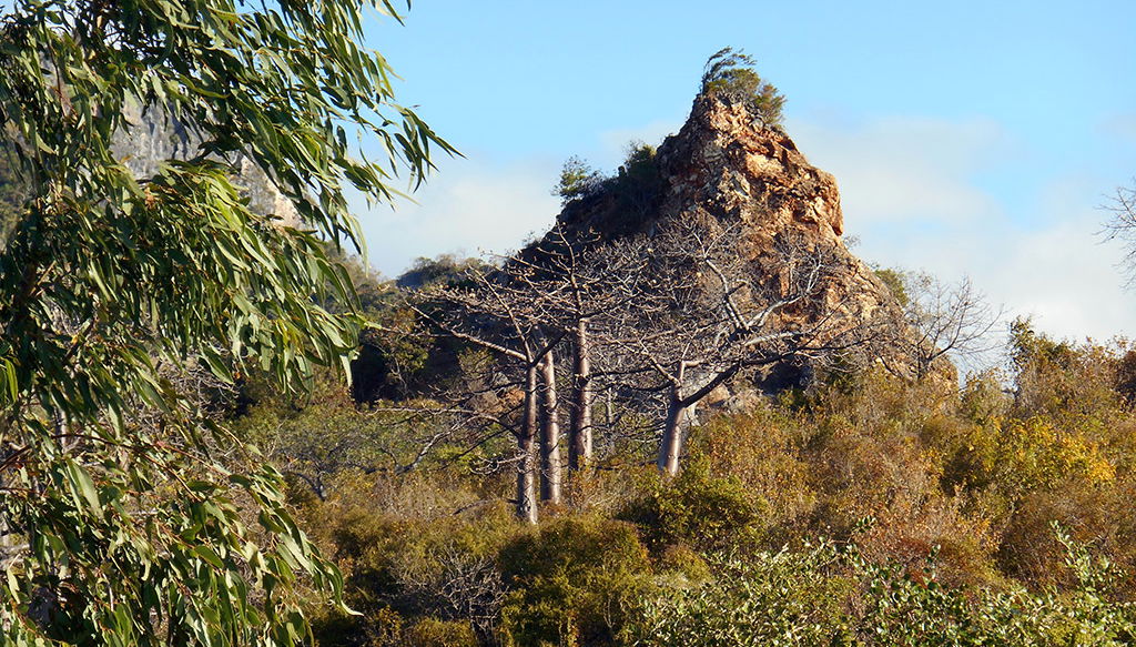 Tour por la ciudad de Antsiranana - Foto 1