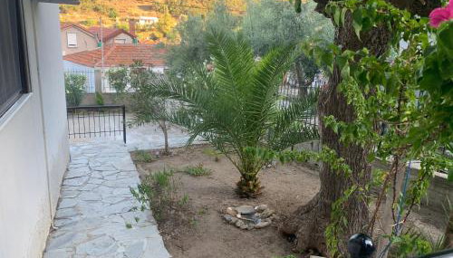 Stone house under a rock Kukos - Foto 3, Garden