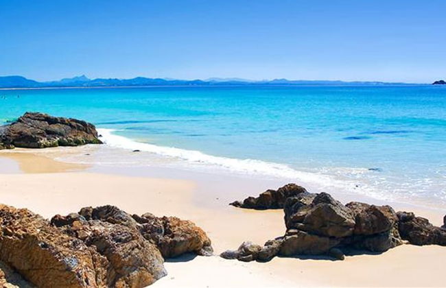 Gecko Shed - Foto 11