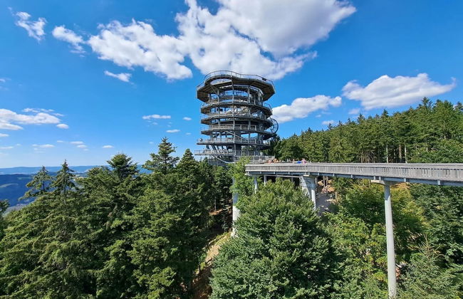 Sunny, Modern Furnished Apartment Your Favourite Place to Relax - Photo 34