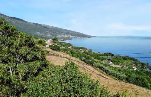 House with sea view in Santo Amaro, 212 sq m, terrace - Photo 43