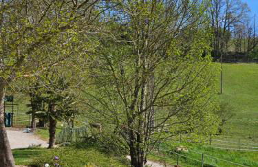 Domaine de Massoulac - Foto 35