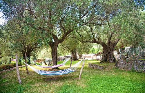 Pie' d'Ulivo - Foto 92