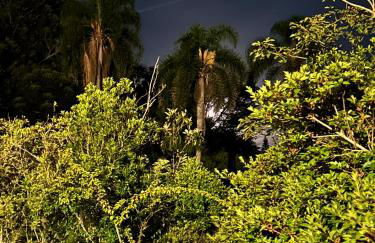 Chácara das Flores - Foto 56