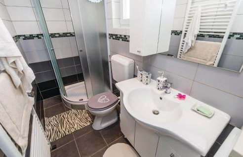 4 Bedroom Beautiful Home In Rukavac - Photo 48