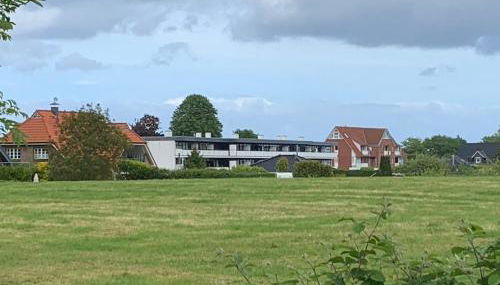 Küstenläufer - Foto 5