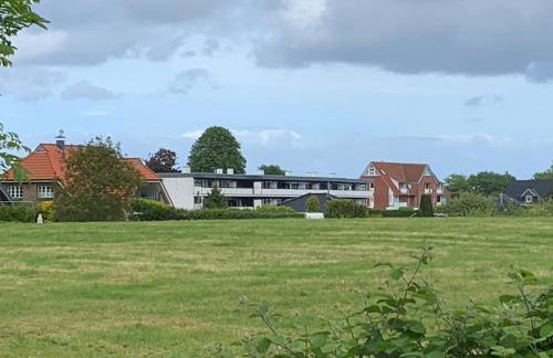 Küstenläufer - Foto 5