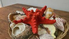 Cozy and quiet apartment , convenient location in Athens - Foto 4