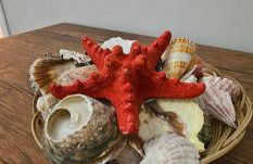 Cozy and quiet apartment , convenient location in Athens - Foto 4