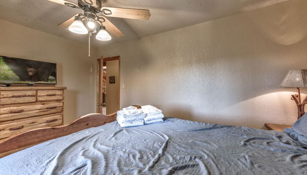 The Neon Bear - Foto 3, Habitación