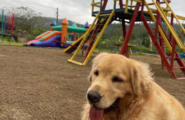 Chalé rural- hospedagem e experiência! - Foto 70