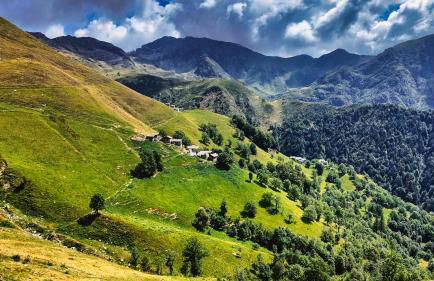 Stones and Pines - Foto 21