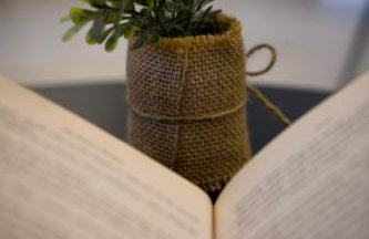 Apartman AMELIE A4 - Foto 21