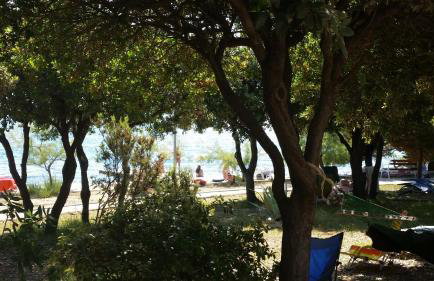 Apartments Anita - Punta Skala - Foto 31