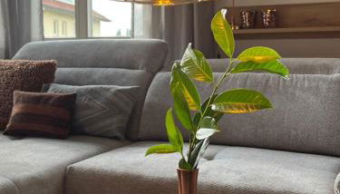 Fewo SPECTRUM II - Photo 2