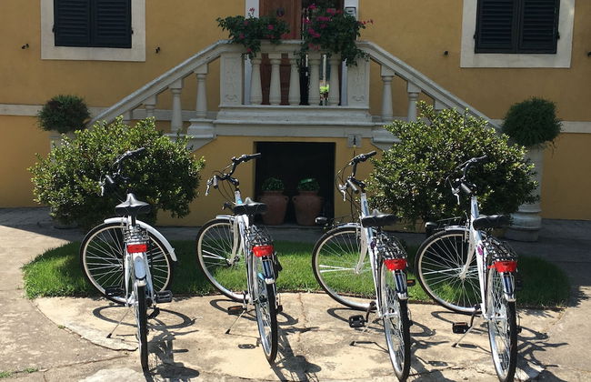 Lucca in Villa San Donato - Foto 72