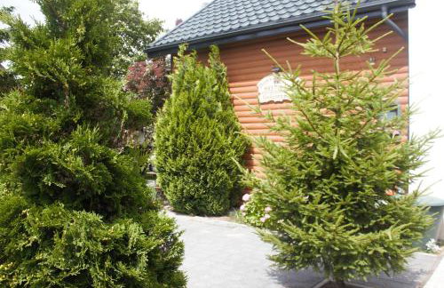 Całoroczny domek z patio - Foto 2