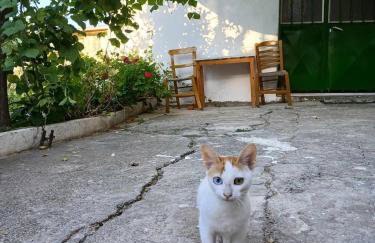 La Maison Bleue Sand Dunes - Foto 13