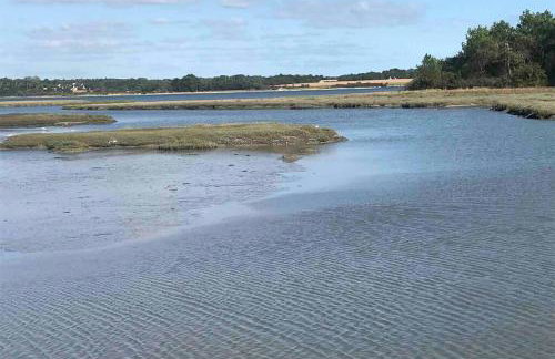 Appartement en entrée de ville avec balneo - Foto 22