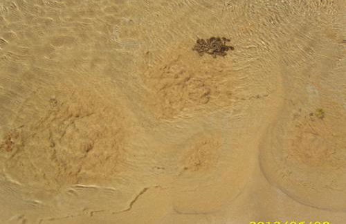 Casa da Praia - Foto 40