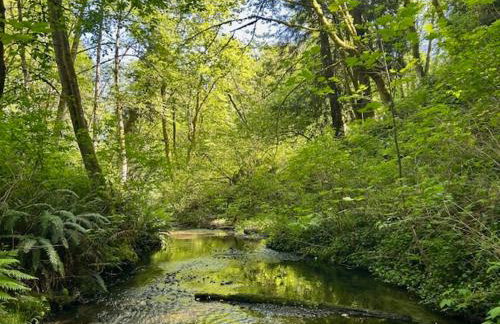Creekside family house w yoga deck - Foto 8