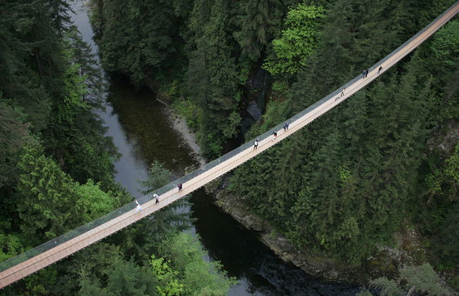 Tour alla Grouse Mountain e al ponte sospeso di Capilano - Foto 4