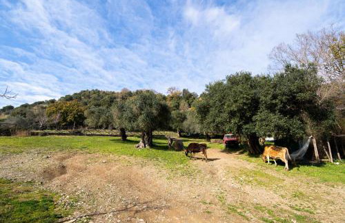 Agriturismo San Basilio - Foto 70