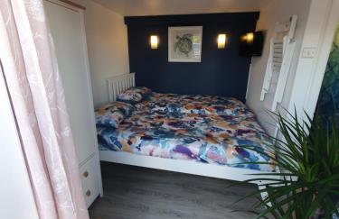 Lovely private studio room with own kitchen and bathroom. Set in the popular area of Shiphay in Torquay and only a short walk from Torbay Hospital - Foto 7