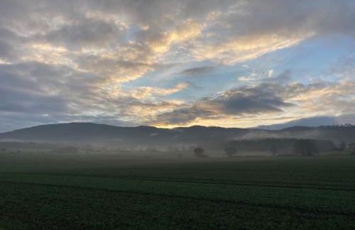 Ferienwohnungen bei der Purpurbuche - Foto 36