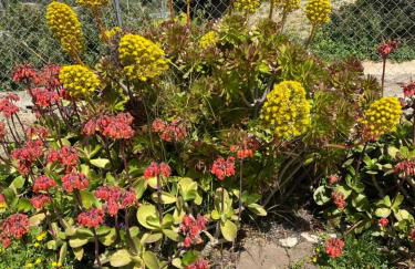 Casa Corofulu Oliena - IUN P2139 - Foto 7