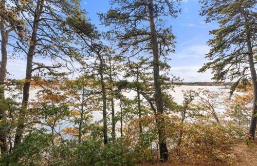 Waterfront on Swan Pond with Kayaks - Photo 28