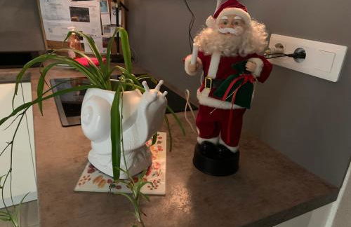 Le repos des escargots - Appartement 3 étoiles - label Qualidog - 1 à 6 personnes avec jardin ombragé et aménagé - Photo 55